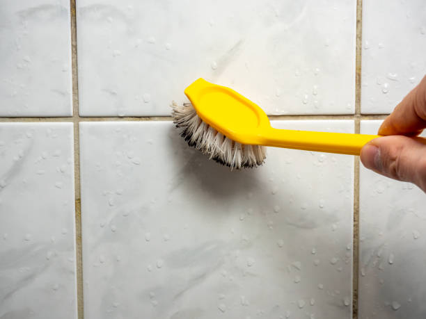 Best Bathroom Mold Remediation in Woodbury, MN